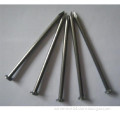 Common Round Iron Wire Nails for Construction (ISO9001: 2008)